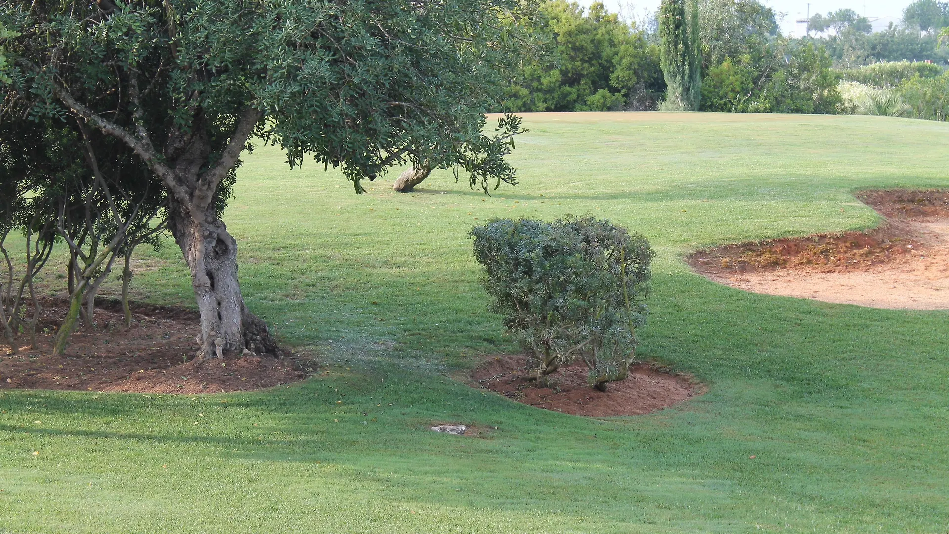 Quinta Dos Poetas Nature Hotel & Apartments Pechao